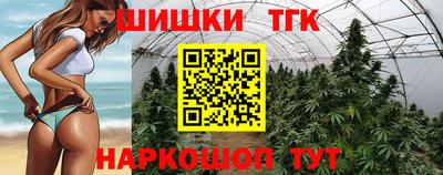 индика Будённовск
