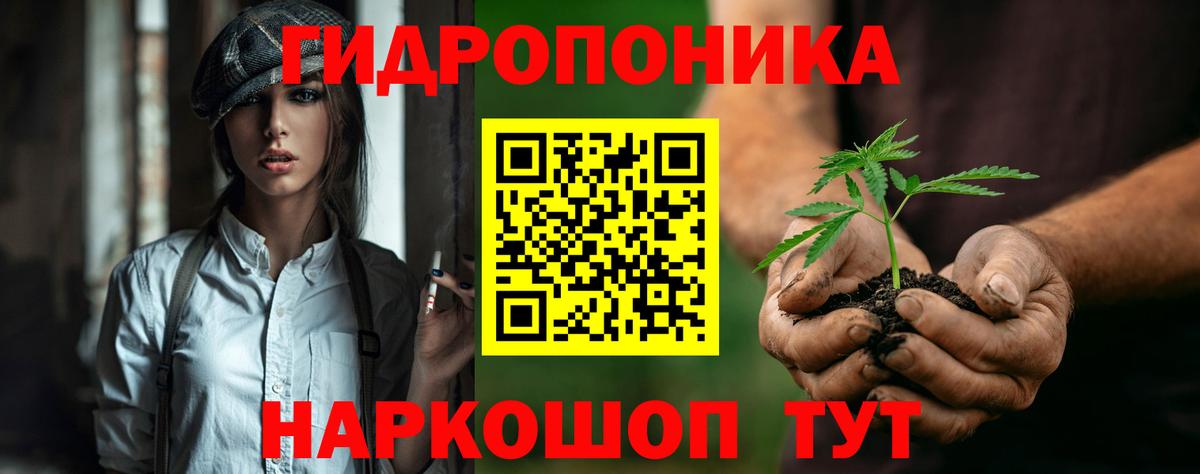 Бошки марихуана AK-47  Бошки марихуана конопля  Бошки марихуана MAZAR  Старый Оскол  Вход с VPN 